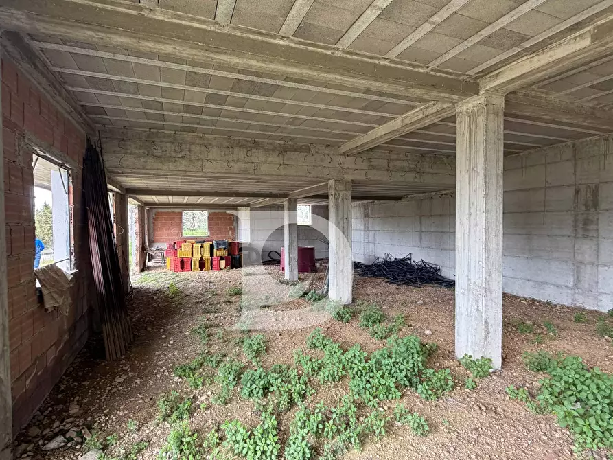Immagine 12 di Palazzo in vendita  in Contrada Galliano s.n.c. a Loreto Aprutino