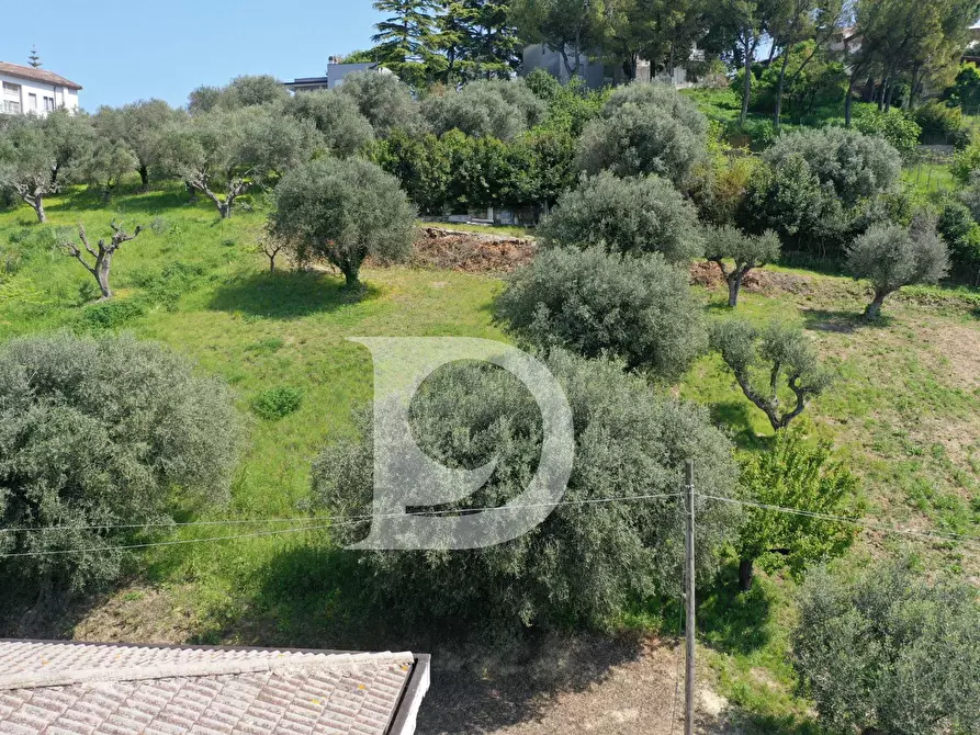 Immagine 4 di Terreno residenziale in vendita  in Via Chiarini a Montesilvano