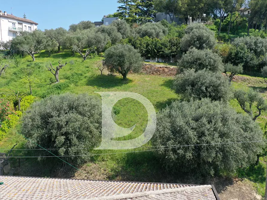 Immagine 6 di Terreno residenziale in vendita  in Via Chiarini a Montesilvano