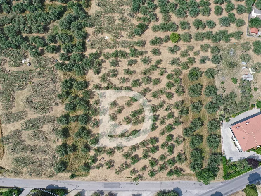 Immagine 3 di Terreno residenziale in vendita  in Str. dei Fiori a Brittoli