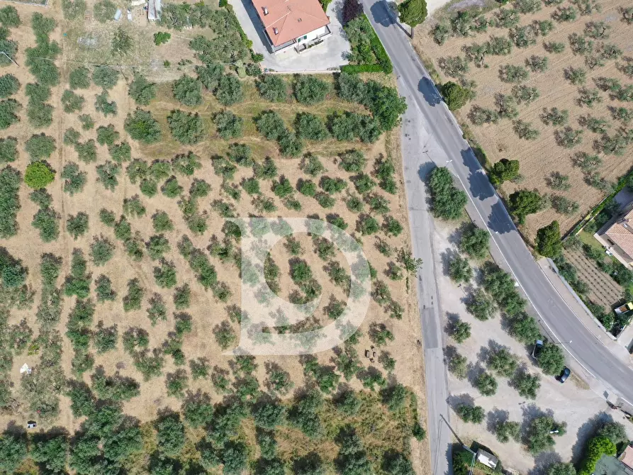 Immagine 5 di Terreno residenziale in vendita  in Str. dei Fiori a Brittoli