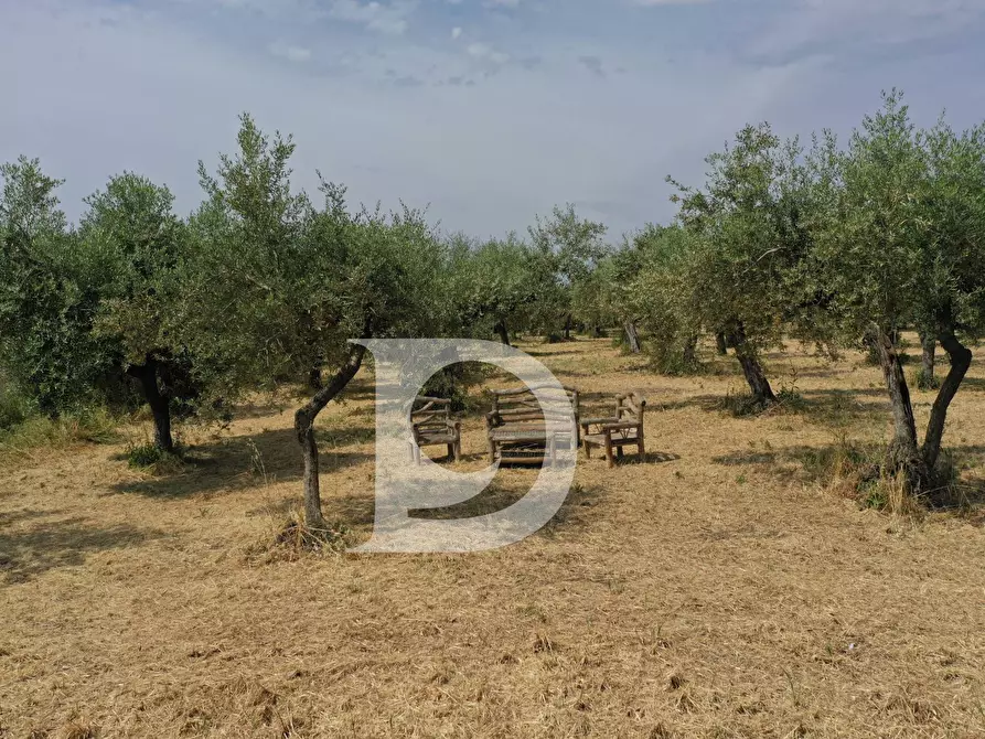 Immagine 9 di Terreno residenziale in vendita  in Str. dei Fiori a Brittoli