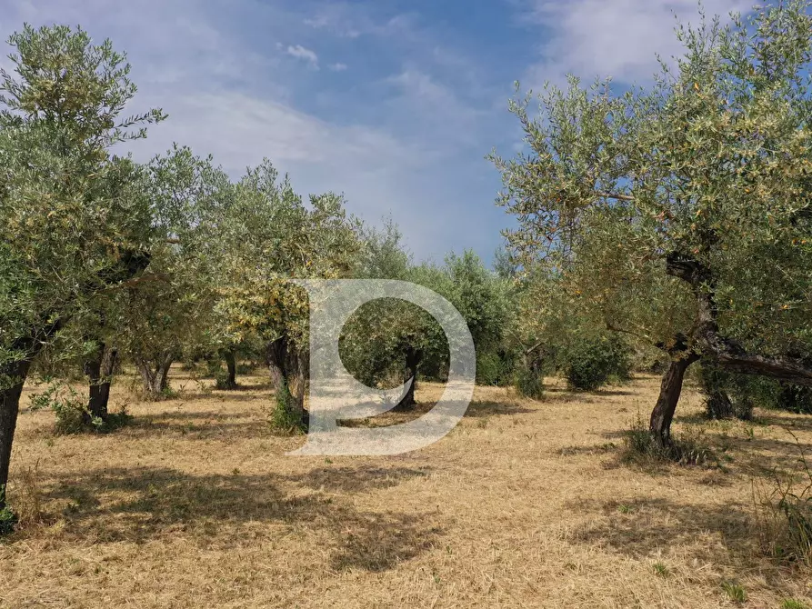 Immagine 8 di Terreno residenziale in vendita  in Str. dei Fiori a Brittoli