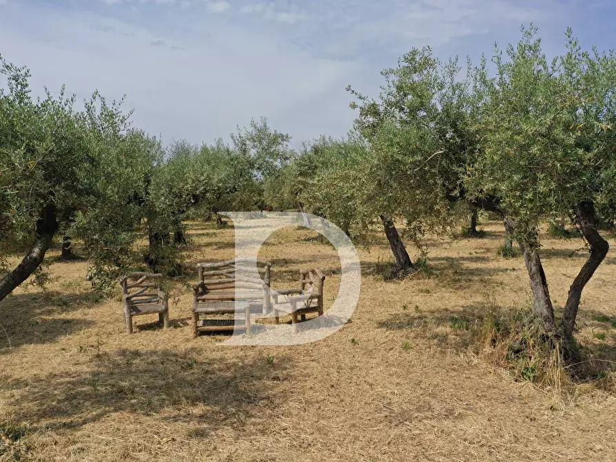 Immagine 1 di Terreno residenziale in vendita  in Str. dei Fiori a Brittoli