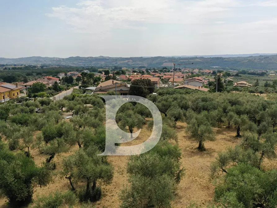 Immagine 10 di Terreno residenziale in vendita  in Str. dei Fiori a Brittoli