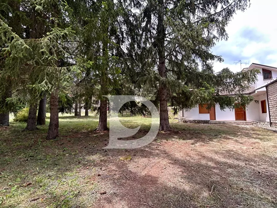 Immagine 2 di Casa indipendente in vendita  in Via Berardino de Vincentiis 134/A a Alfedena