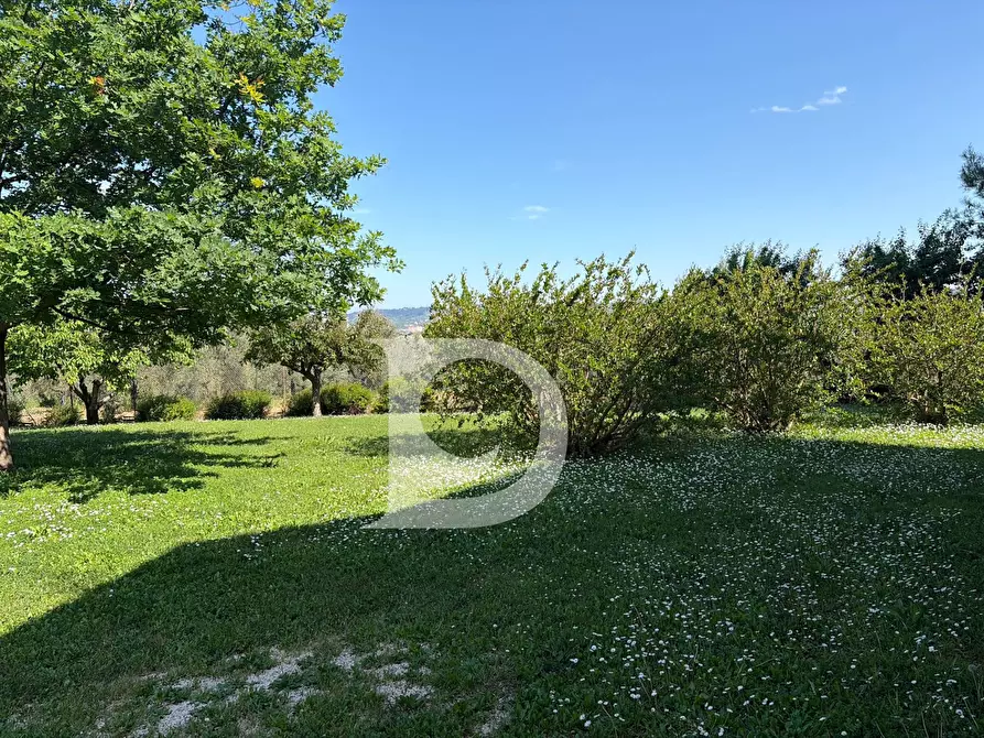 Immagine 52 di Villa in vendita  in Strada Comunale Quagliera a Spoltore