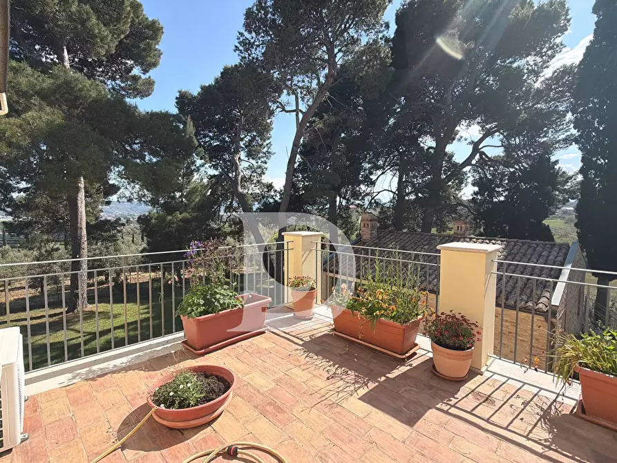 Immagine 23 di Villa in vendita  in Strada Comunale Quagliera a Spoltore