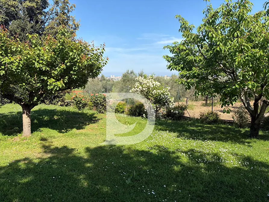 Immagine 53 di Villa in vendita  in Strada Comunale Quagliera a Spoltore