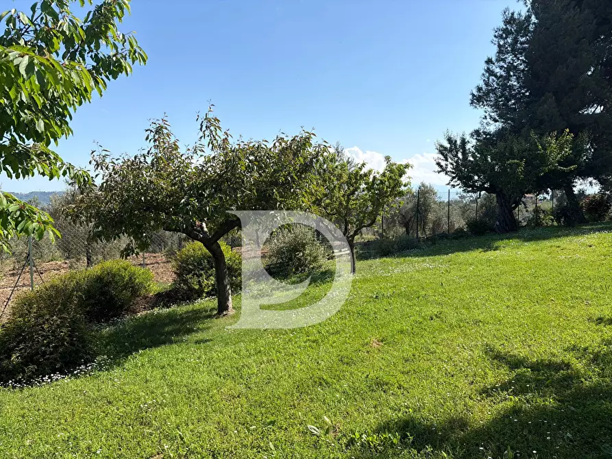 Immagine 51 di Villa in vendita  in Strada Comunale Quagliera a Spoltore