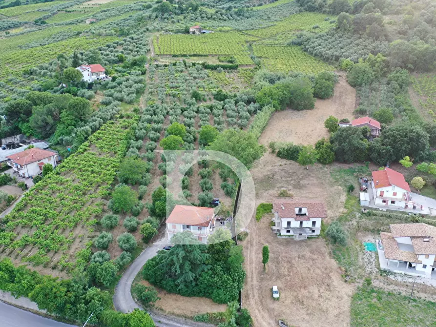 Immagine 21 di Casa indipendente in vendita  in Via Val di Foro 38 a Ari