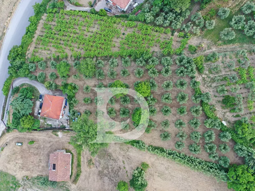 Immagine 22 di Casa indipendente in vendita  in Via Val di Foro 38 a Ari