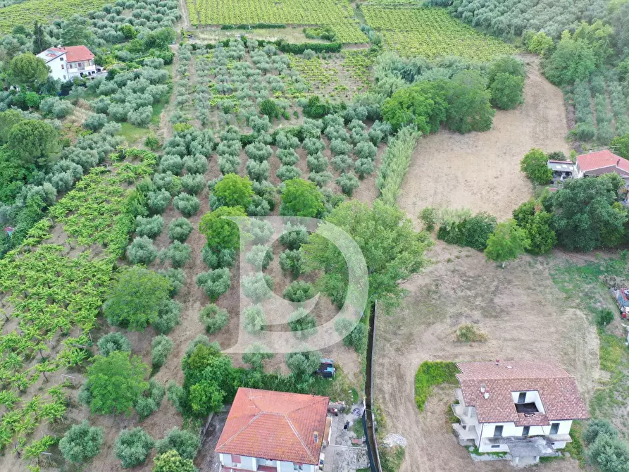 Immagine 23 di Casa indipendente in vendita  in Via Val di Foro 38 a Ari