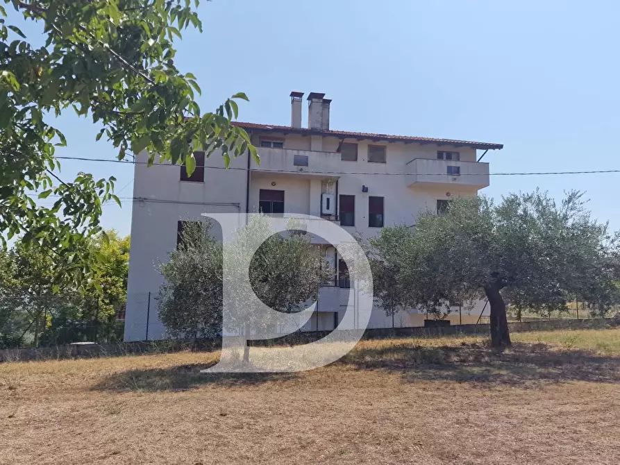 Immagine 3 di Casa indipendente in vendita  in Viale dei Pini 126 a Brittoli