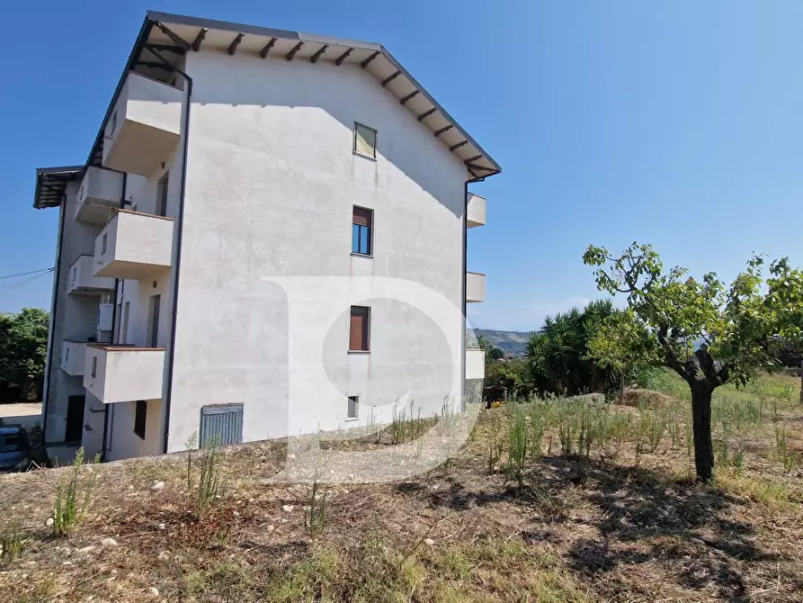 Immagine 4 di Casa indipendente in vendita  in Viale dei Pini 126 a Brittoli