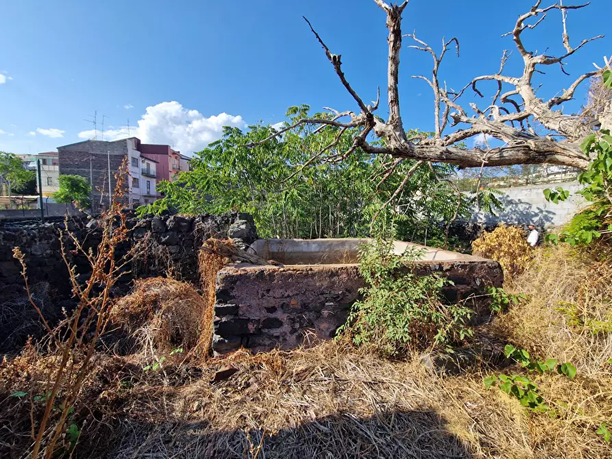 Immagine 18 di Casa indipendente in vendita  in via Vitaliti 52 a Catania