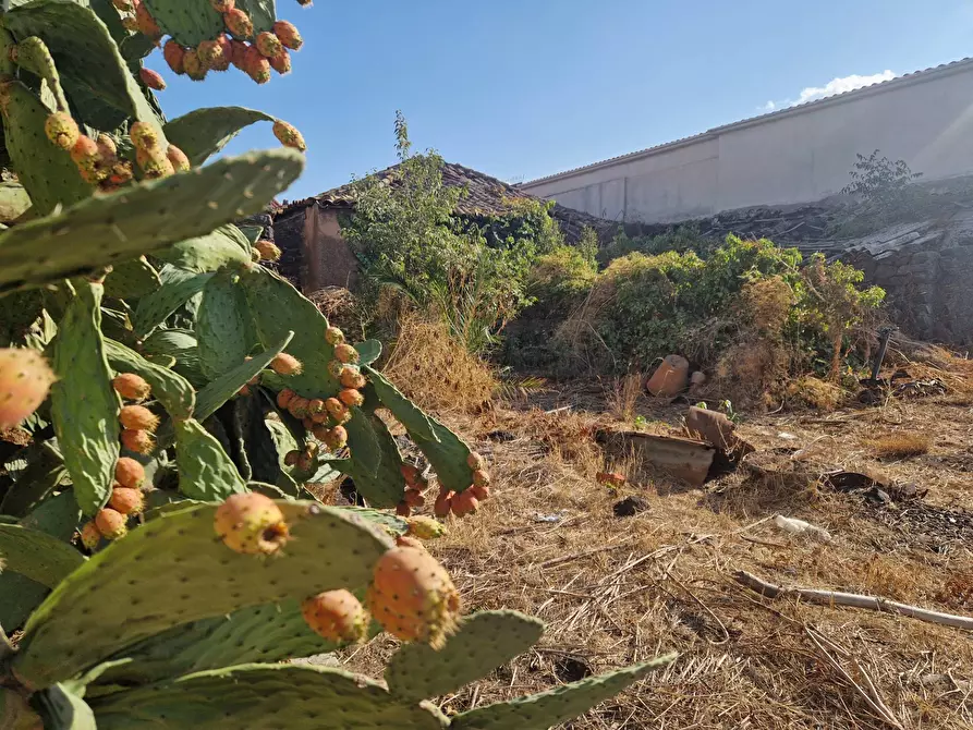 Immagine 19 di Casa indipendente in vendita  in via Vitaliti 52 a Catania