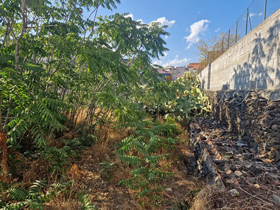 Immagine 20 di Casa indipendente in vendita  in via Vitaliti 52 a Catania