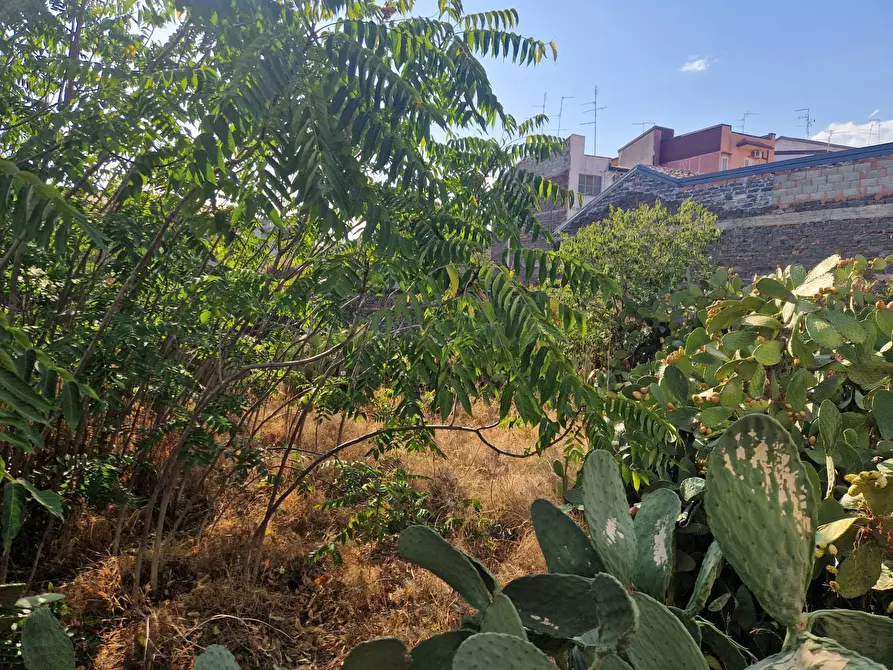 Immagine 22 di Casa indipendente in vendita  in via Vitaliti 52 a Catania