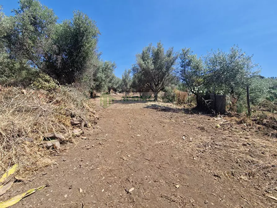 Immagine 9 di Terreno agricolo in vendita  in Strada Provinciale S.N a Belpasso