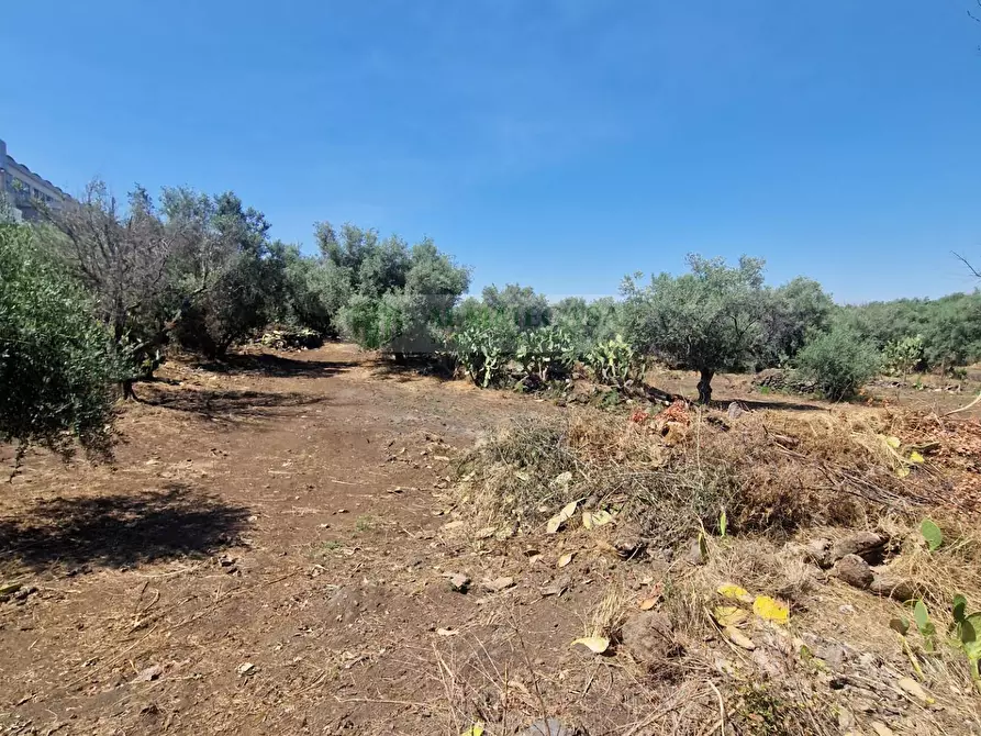 Immagine 20 di Terreno agricolo in vendita  in Strada Provinciale S.N a Belpasso