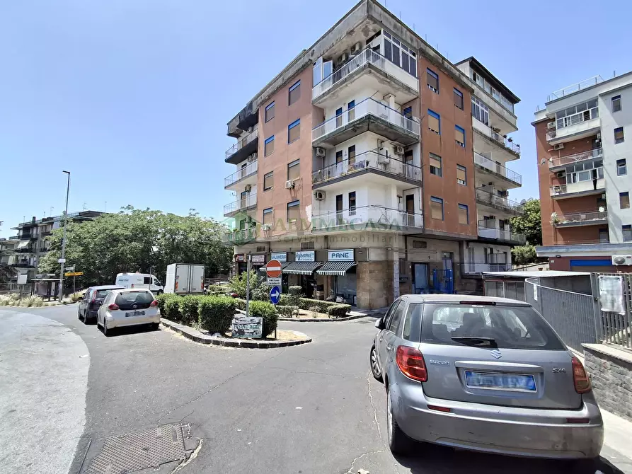 Immagine 30 di Appartamento in vendita  in Via Fasano 20 a Gravina Di Catania