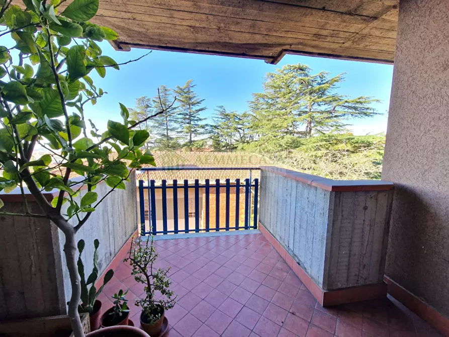 Immagine 7 di Appartamento in vendita  in Via Renzo De Felice 10 a Gravina Di Catania