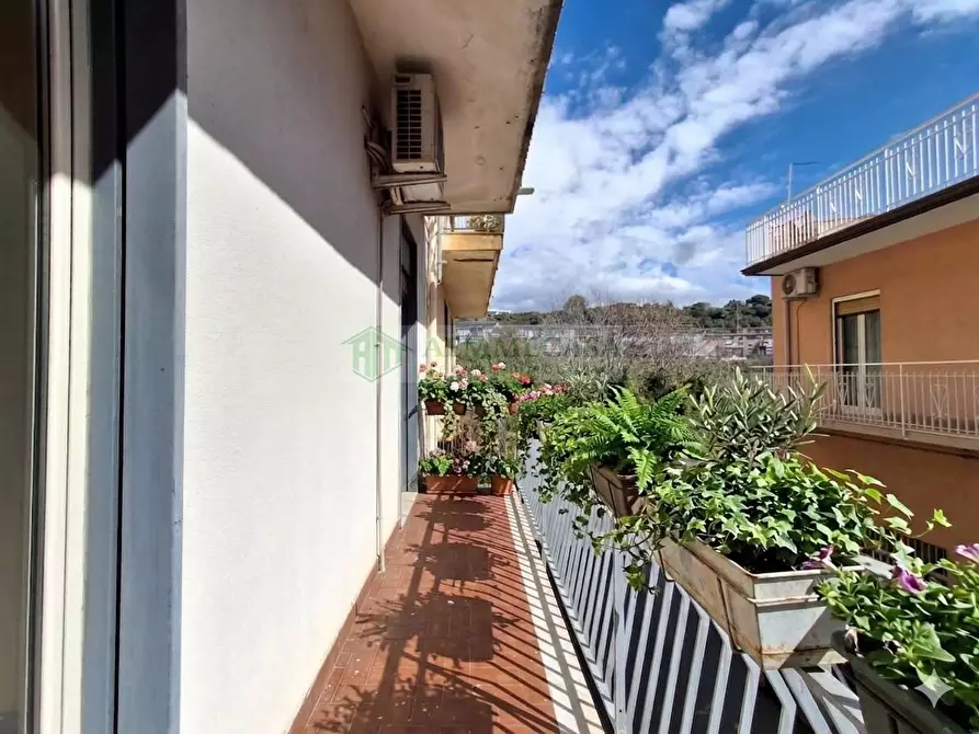 Immagine 5 di Casa indipendente in vendita  in Via Vincenzo Gemito 25 a Catania