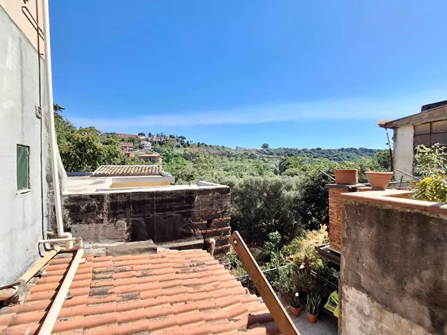 Immagine 5 di Appartamento in vendita  in Via Pietro Novelli 103 a Catania