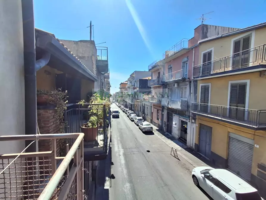 Immagine 29 di Appartamento in vendita  in Via Pietro Novelli 103 a Catania