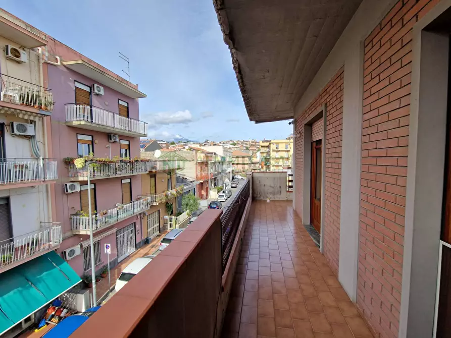 Immagine 6 di Appartamento in vendita  in Via Lorenzo Bolano 6 a Gravina Di Catania