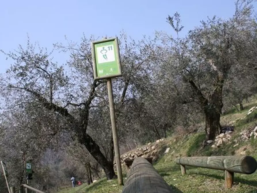 Immagine 8 di Agriturismo in vendita  in Mandolare 6 a Barbarano Vicentino