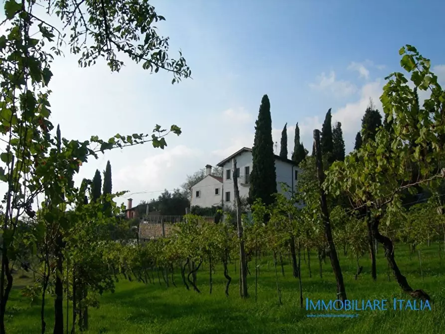 Immagine 12 di Agriturismo in vendita  in Mandolare 6 a Barbarano Vicentino