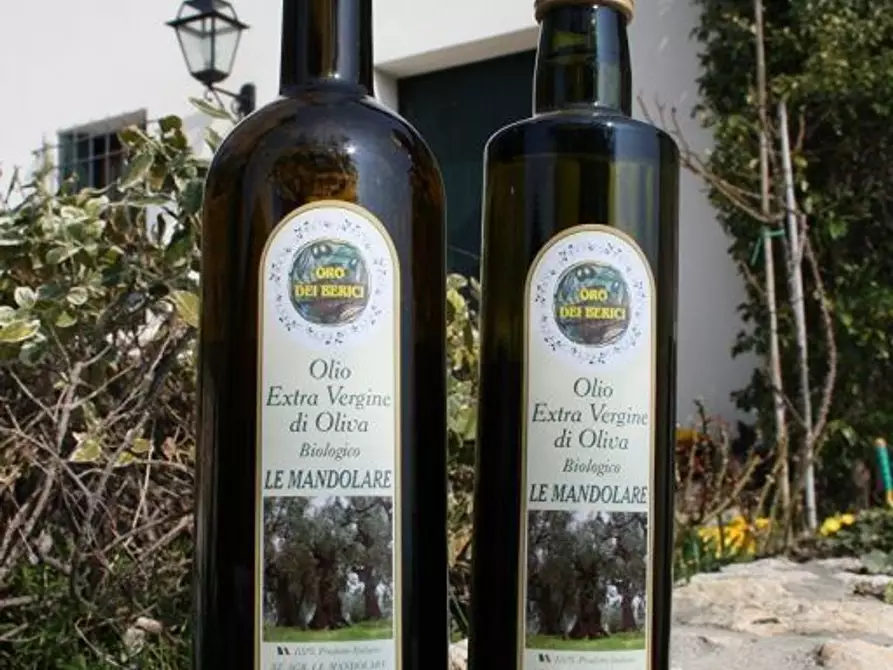 Immagine 16 di Agriturismo in vendita  in Mandolare 6 a Barbarano Vicentino