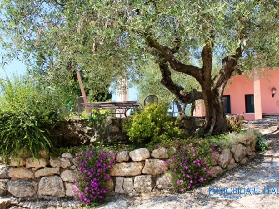 Immagine 17 di Agriturismo in vendita  in Mandolare 6 a Barbarano Vicentino