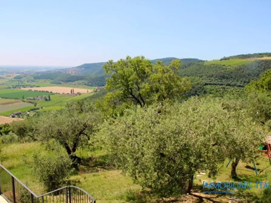 Immagine 19 di Agriturismo in vendita  in Mandolare 6 a Barbarano Vicentino