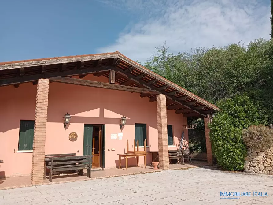 Immagine 40 di Agriturismo in vendita  in Mandolare 6 a Barbarano Vicentino