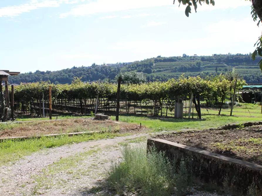 Immagine 20 di Rustico / casale in vendita  in via osteria 5 a Badia Calavena