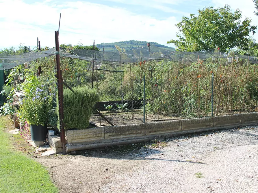 Immagine 21 di Rustico / casale in vendita  in via osteria 5 a Badia Calavena