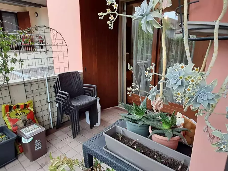 Immagine 34 di Appartamento in vendita  a San Giovanni Lupatoto