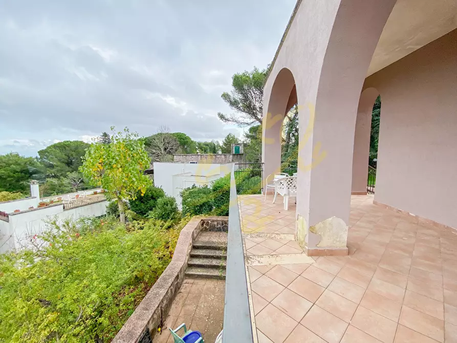 Immagine 3 di Villa in vendita  in viale dei castagni a Fasano