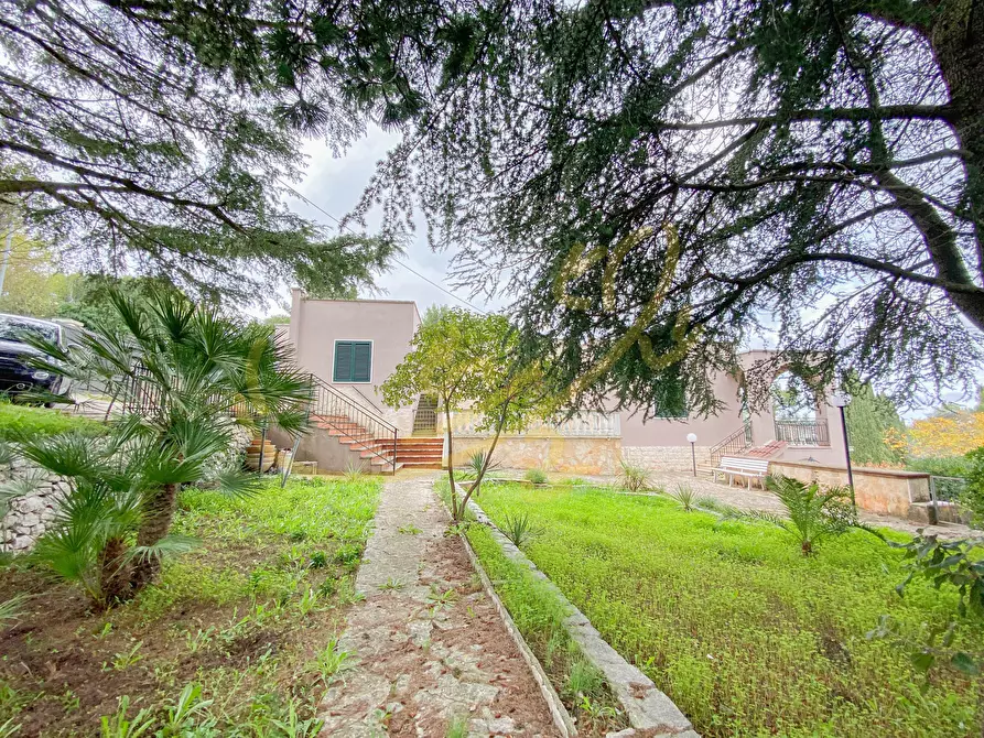 Immagine 5 di Villa in vendita  in viale dei castagni a Fasano