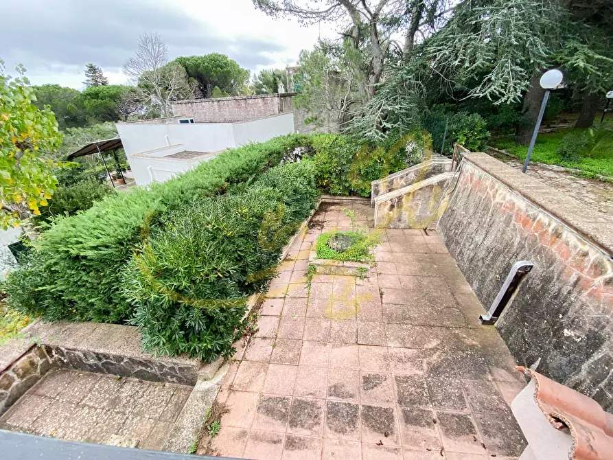 Immagine 6 di Villa in vendita  in viale dei castagni a Fasano