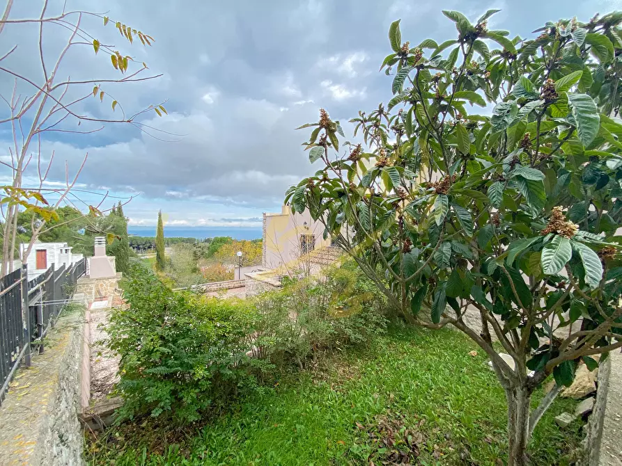 Immagine 11 di Villa in vendita  in viale dei castagni a Fasano