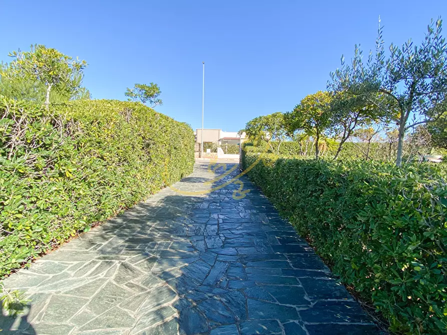Immagine 15 di Villa in vendita  in st. provinciale 163 a Monopoli
