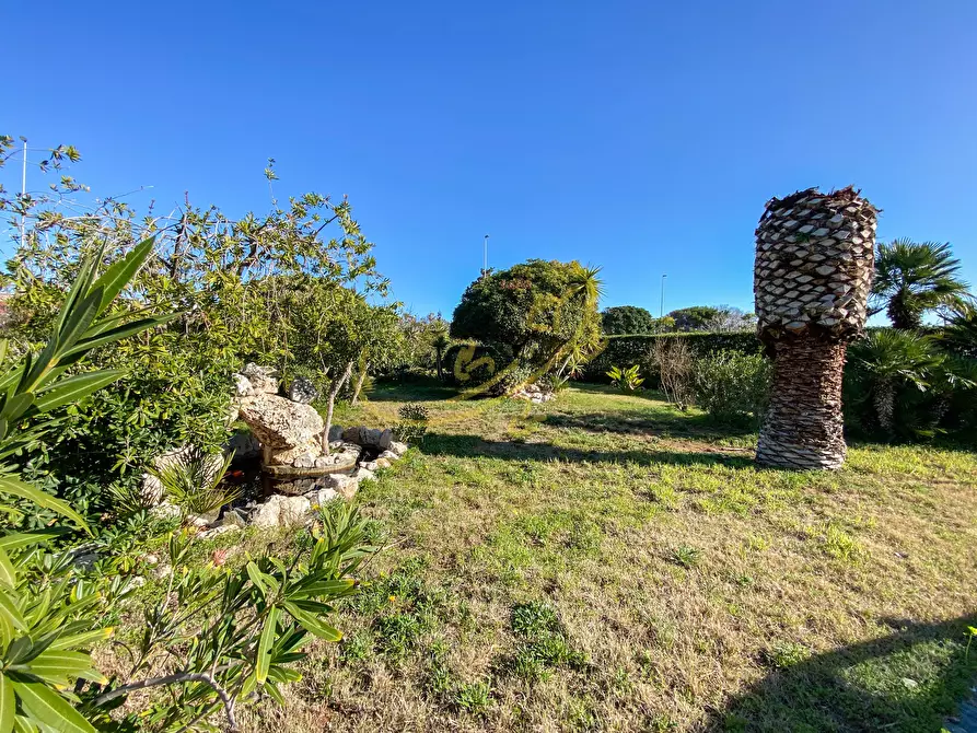 Immagine 21 di Villa in vendita  in st. provinciale 163 a Monopoli