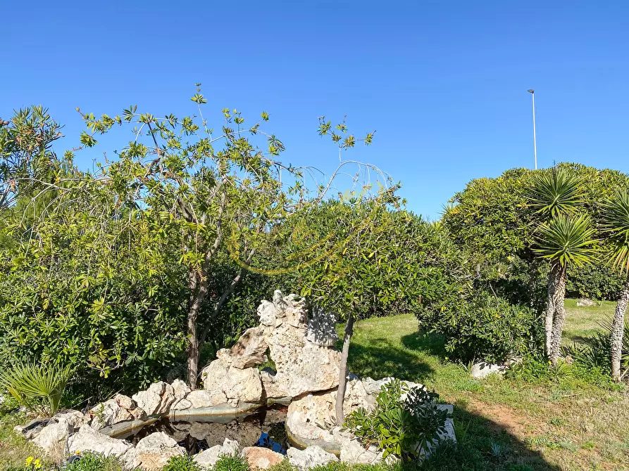 Immagine 28 di Villa in vendita  in st. provinciale 163 a Monopoli