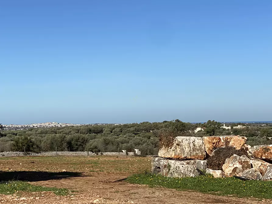 Immagine 20 di Rustico / casale in vendita  in Strada Provinciale 120 a Polignano A Mare