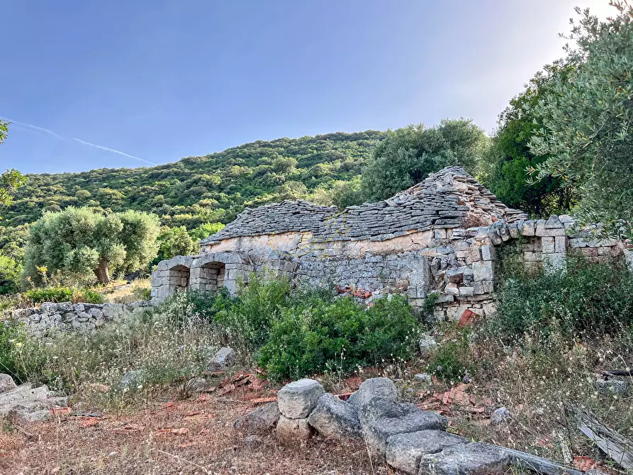 Immagine 2 di Baita in vendita  in C.da Torchiano a Monopoli