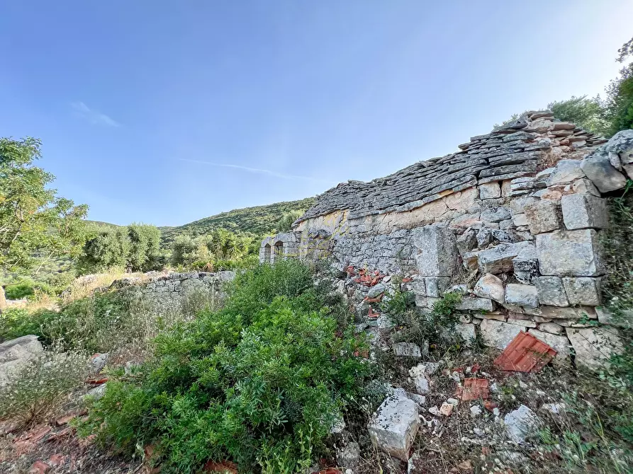 Immagine 3 di Baita in vendita  in C.da Torchiano a Monopoli